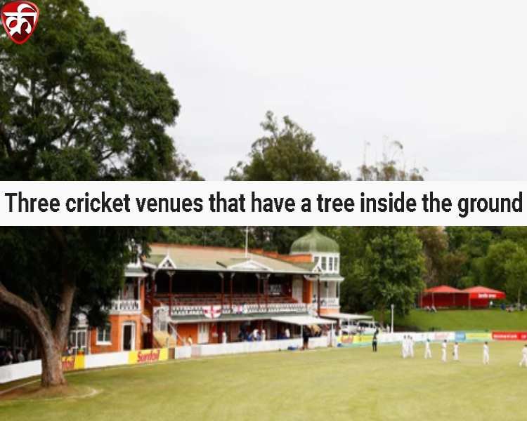 Three cricket venues that have a tree inside the ground